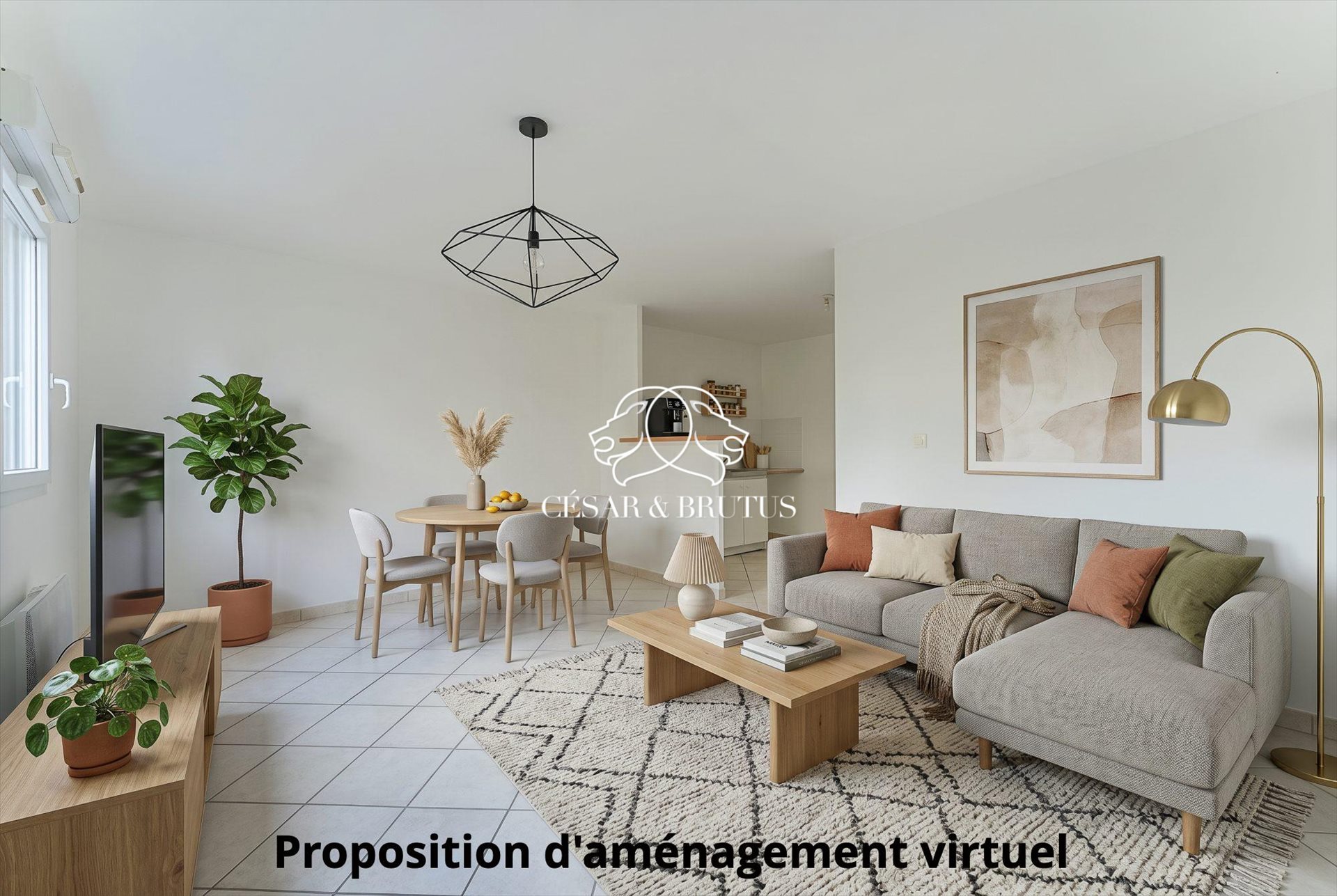 Appartement à vendre, 28m², Villeurbanne