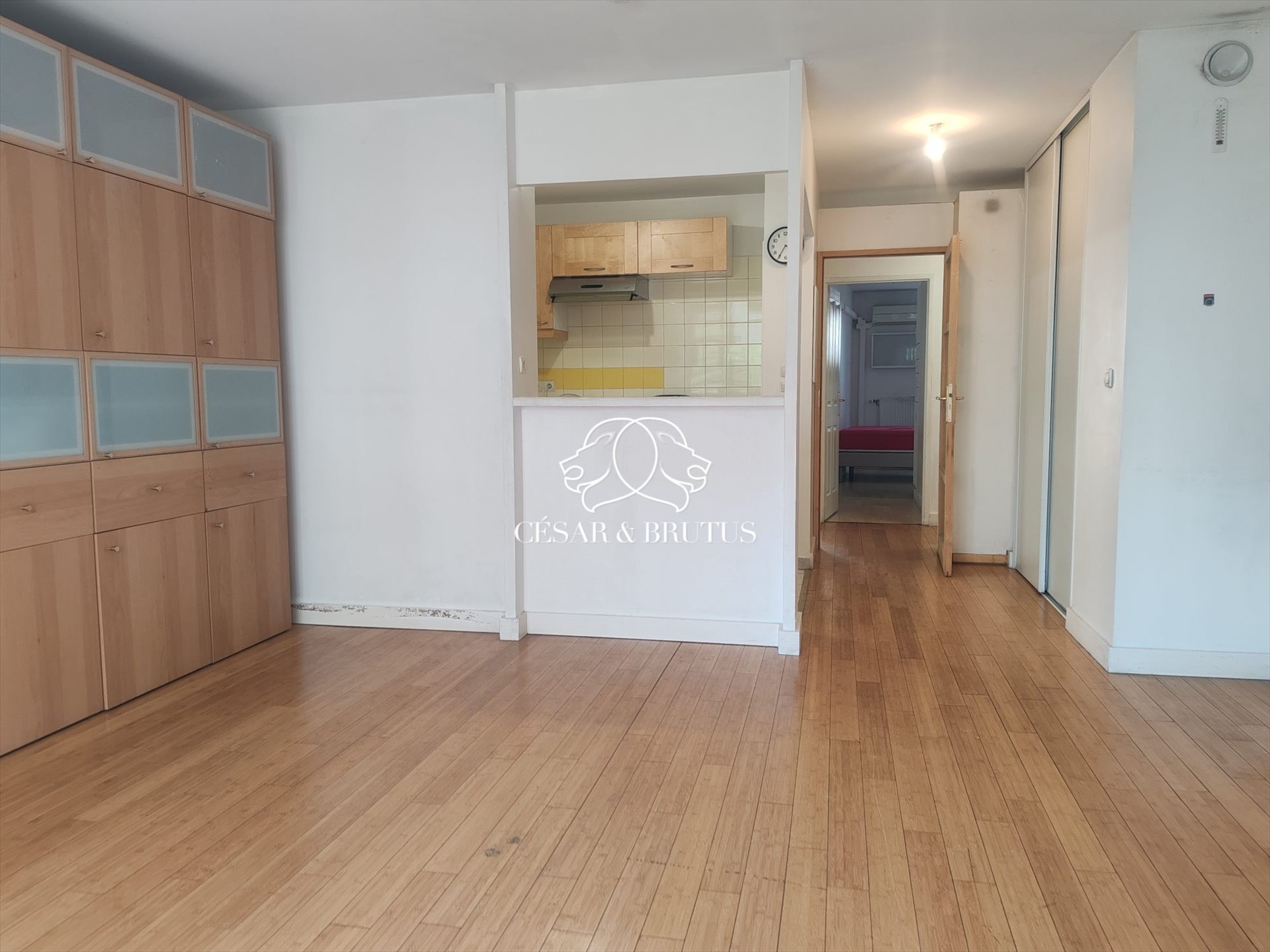 Appartement à vendre, 74m², Lyon 8ème