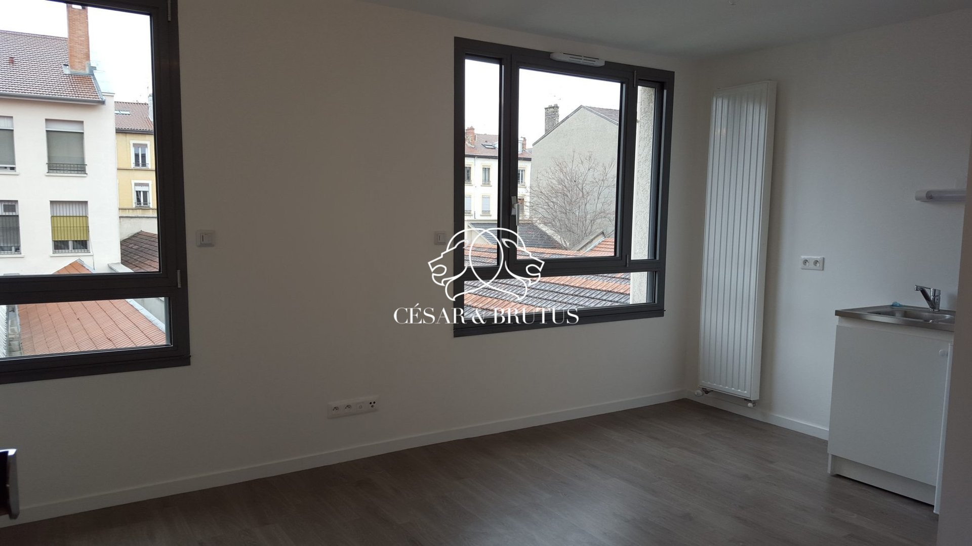 Appartement à vendre, 20m², Villeurbanne