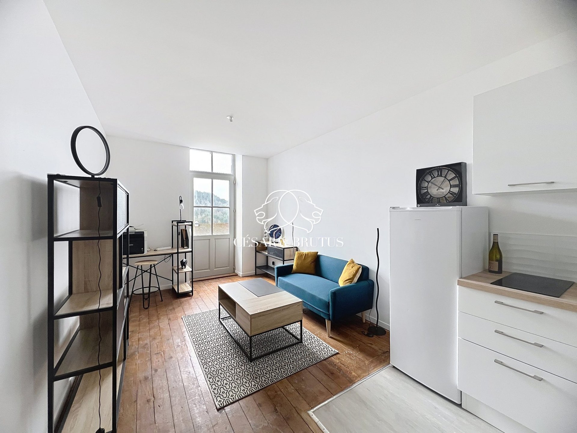 Appartement à vendre, 44m², Thizy