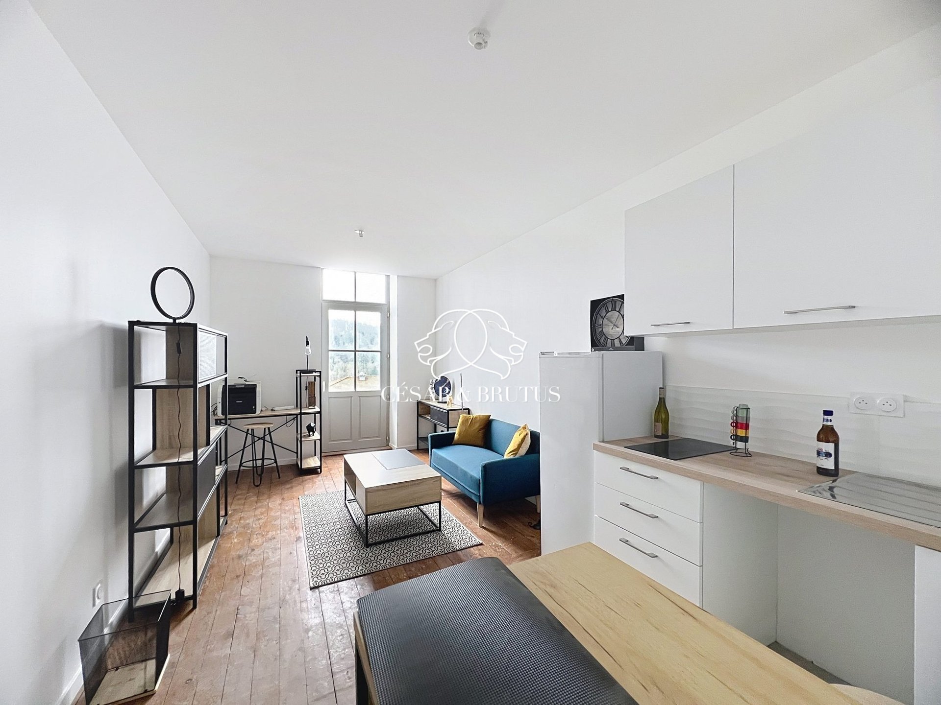 Appartement à vendre, 44m², Thizy