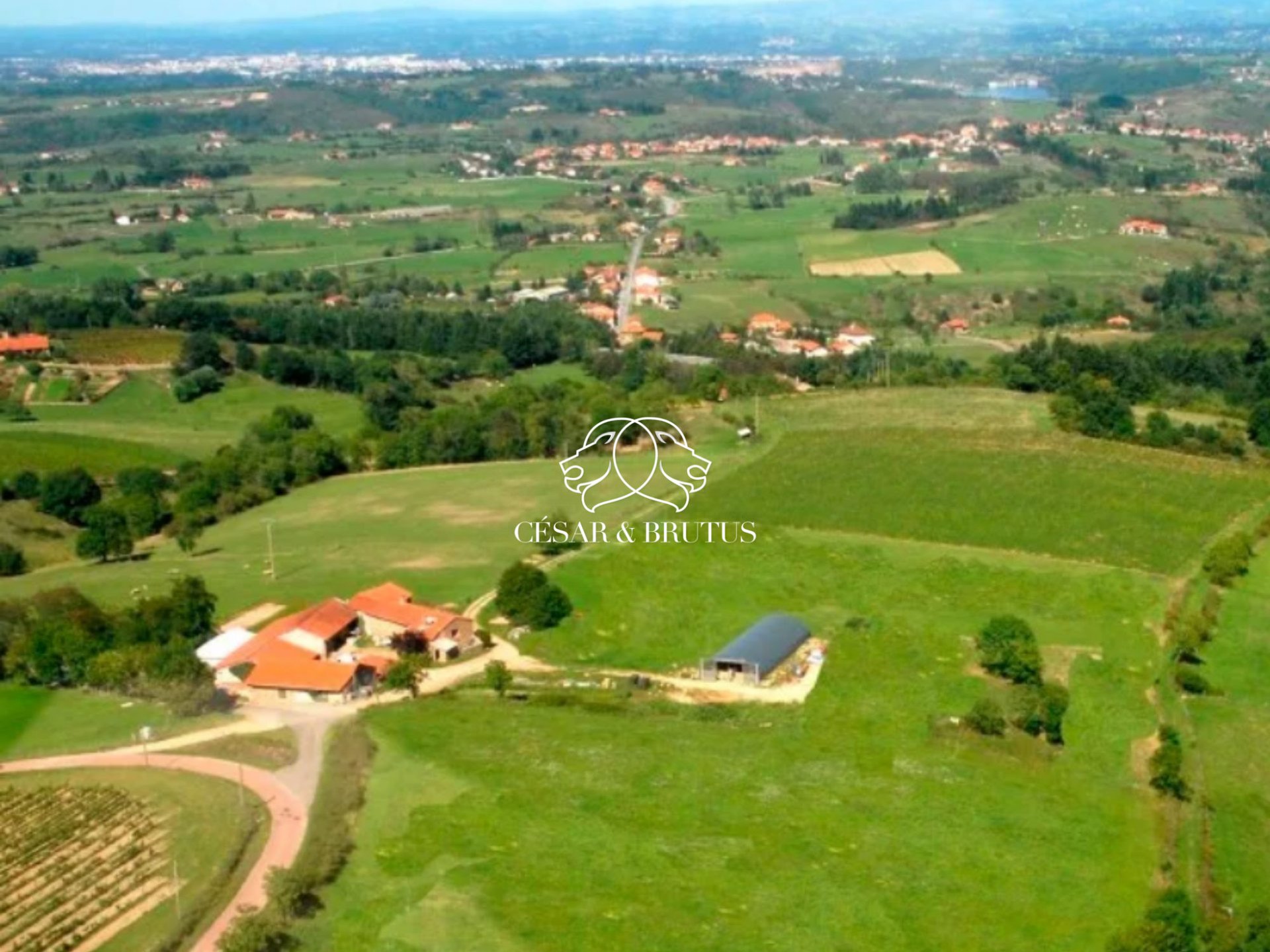 Maison à vendre, 750m², Saint-Jean-Saint-Maurice-sur-Loire