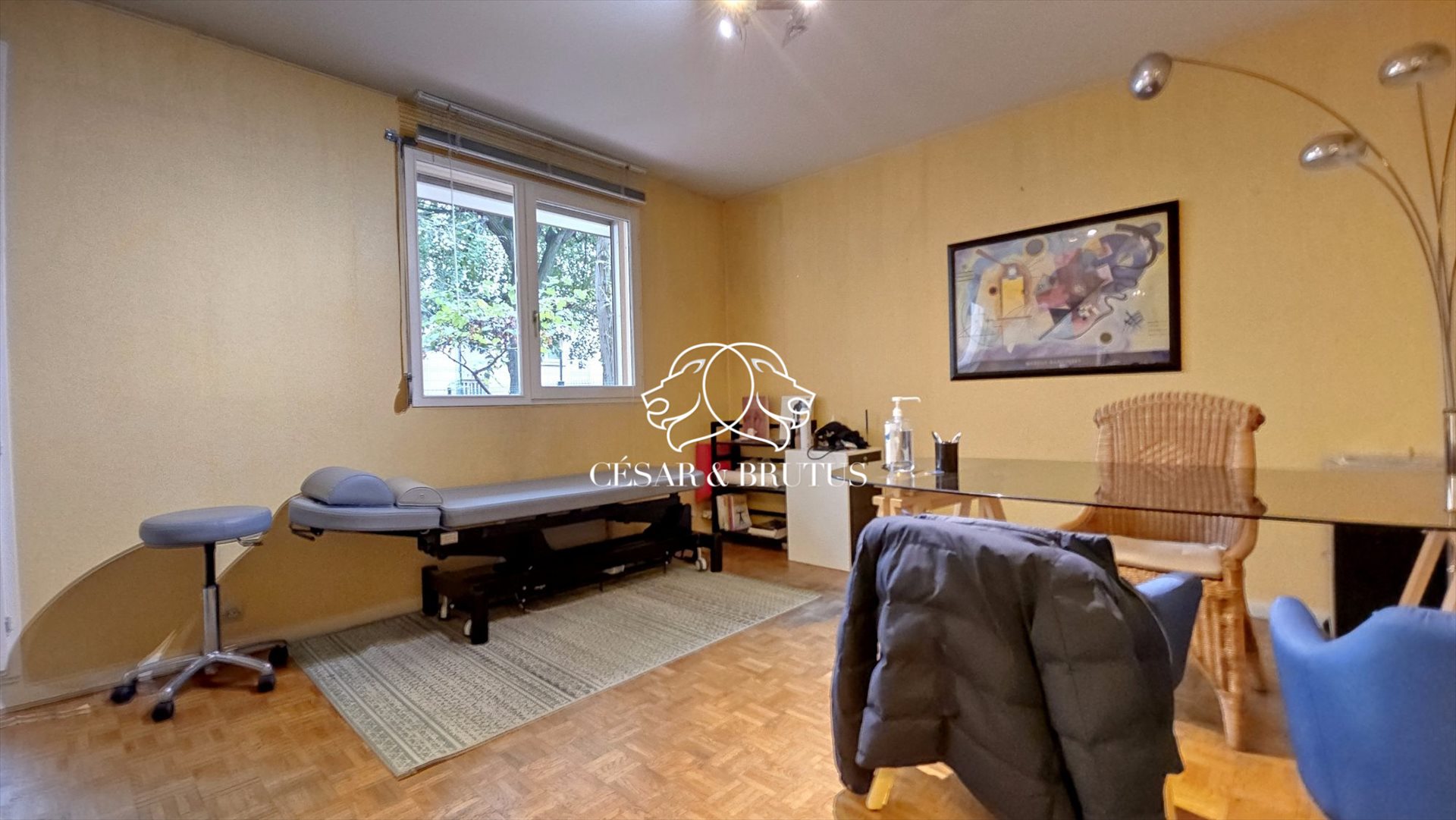 Appartement – Lyon - Vue 2