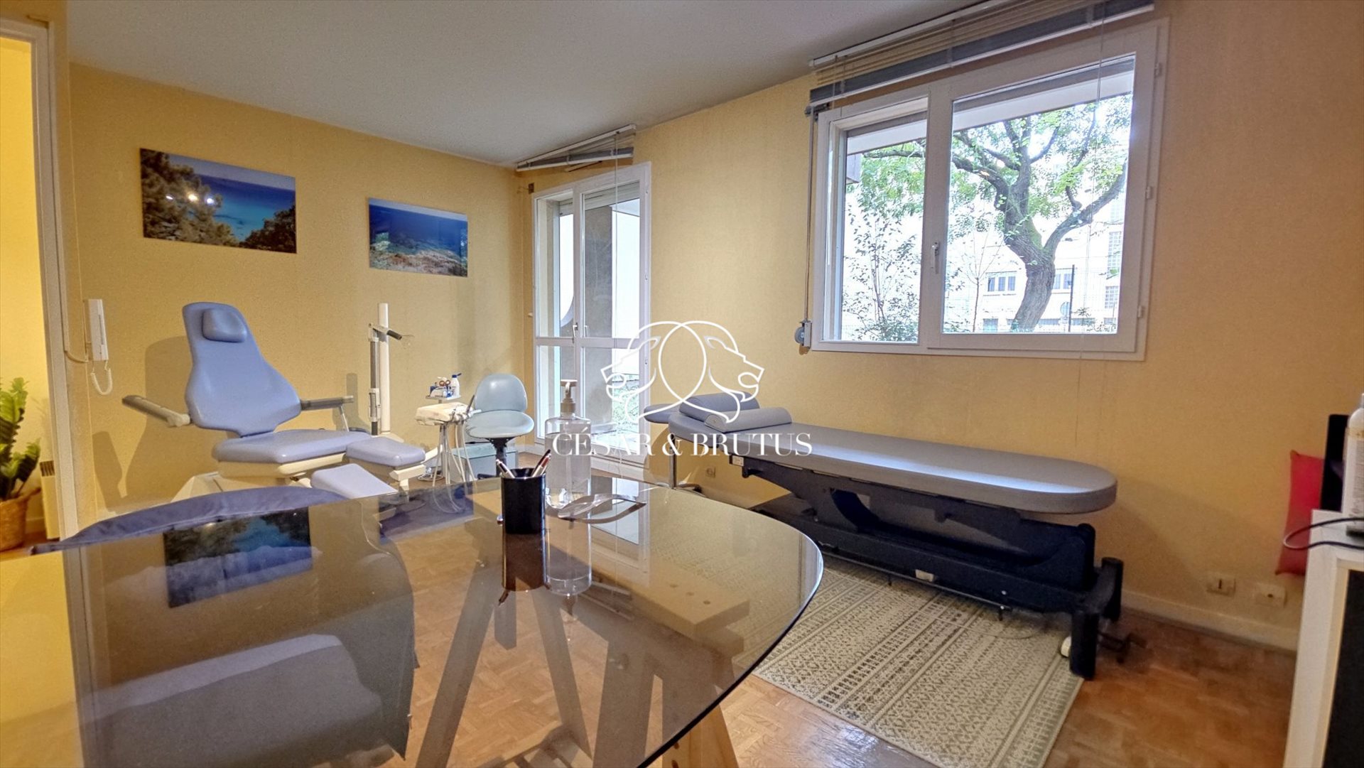 Appartement – Lyon - Plus