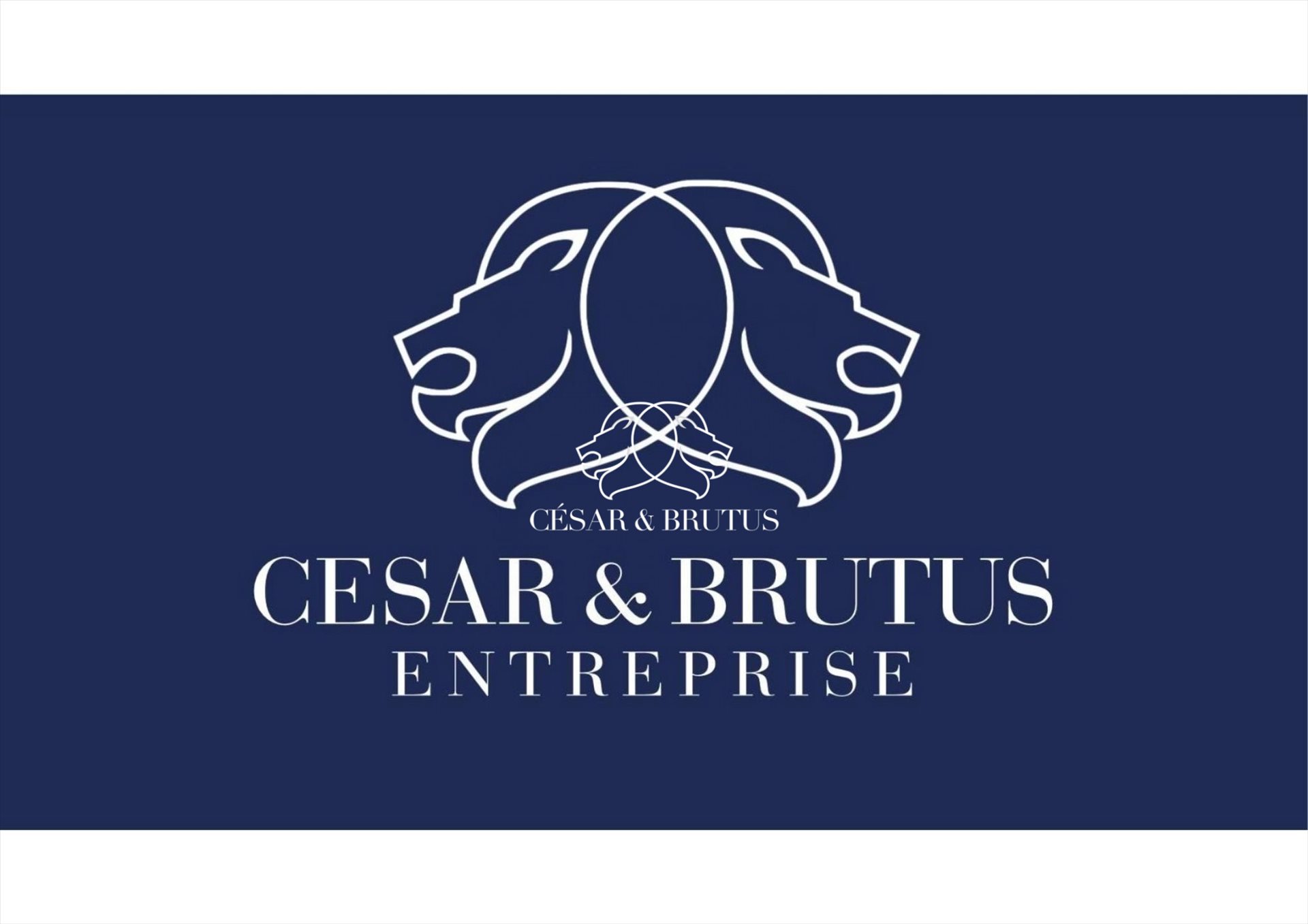Purchase: Business premises (69006) - Vue 3