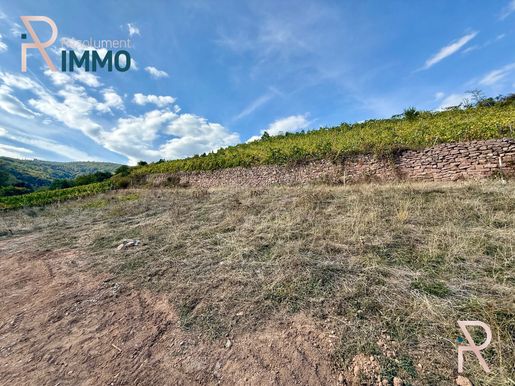Terrain 887 m² · à Katzenthal · 179 000 €
