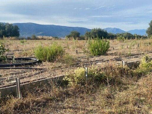 Terrain 110 m² · à Nice · 110 m² · 1 041 000 €