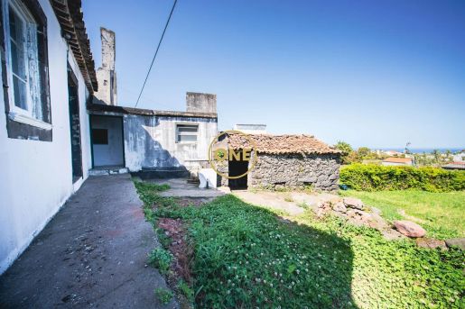 Nordeste (North East) photo 2