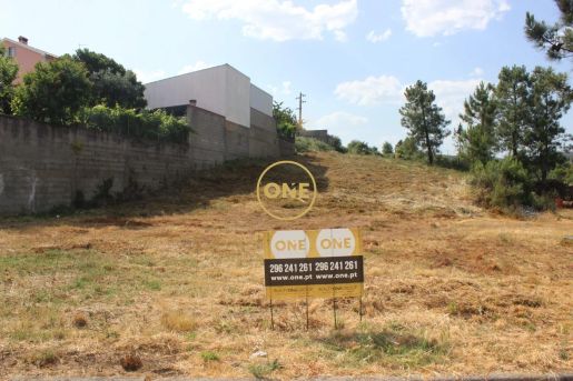 Castelo Branco photo 2