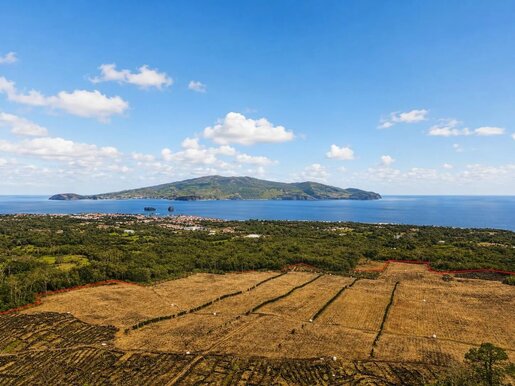 da Madalena e Samaiões (Madalena)