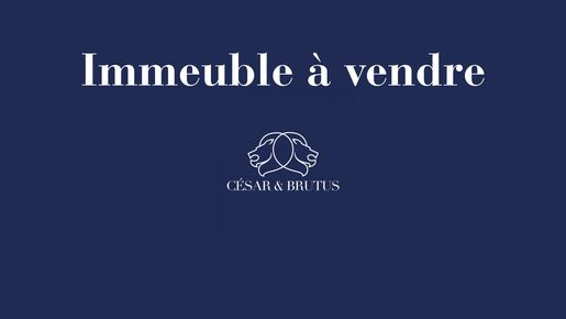 Maison 1 pièce 570 m² · à Saint-Étienne · 570 m² · 539 000 €