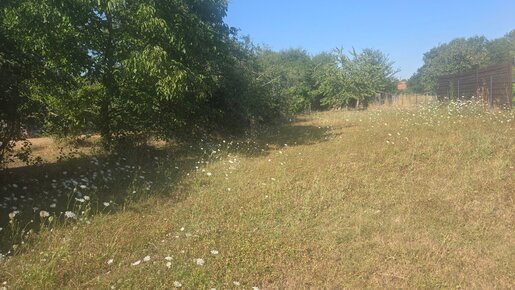 Terrain, terrain 1806 m² — Fay-aux-Loges (Loiret) · 136 000 €