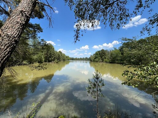 Terrain, terrain 24 m² — Salbris (Loir-et-Cher) · 383 000 €