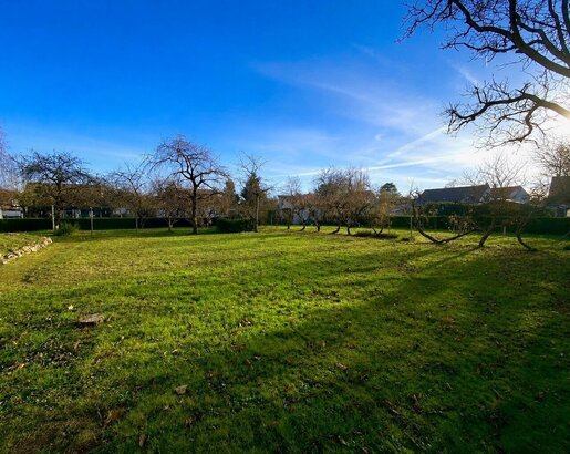 Terrain, terrain 1125 m² — Sandillon (Loiret) · 140 700 €
