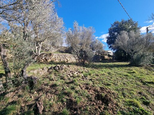 Terrain 900 m² · à Carnoules · 146 000 €