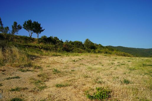 Terrain 4500 m² · à Albas · 66 000 €