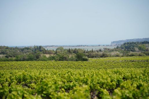 Terrain 223 m² · à La Palme · 223 m² · 2 100 000 €
