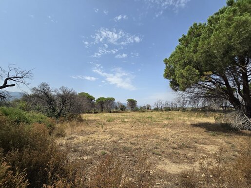 Terrain 4340 m² · à Argelès-sur-Mer · 29 000 €
