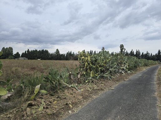 Terrain 6 m² · à Elne · 197 000 €