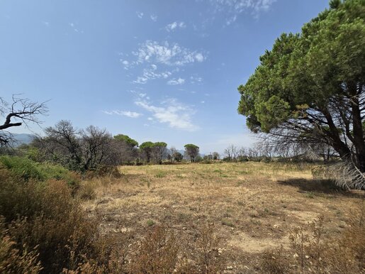 Terrain 4340 m² · à Argelès-sur-Mer · 29 000 €
