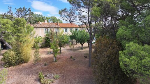 Maison 11 pièces 450 m² · à Lespignan · 450 m² · 750 000 €