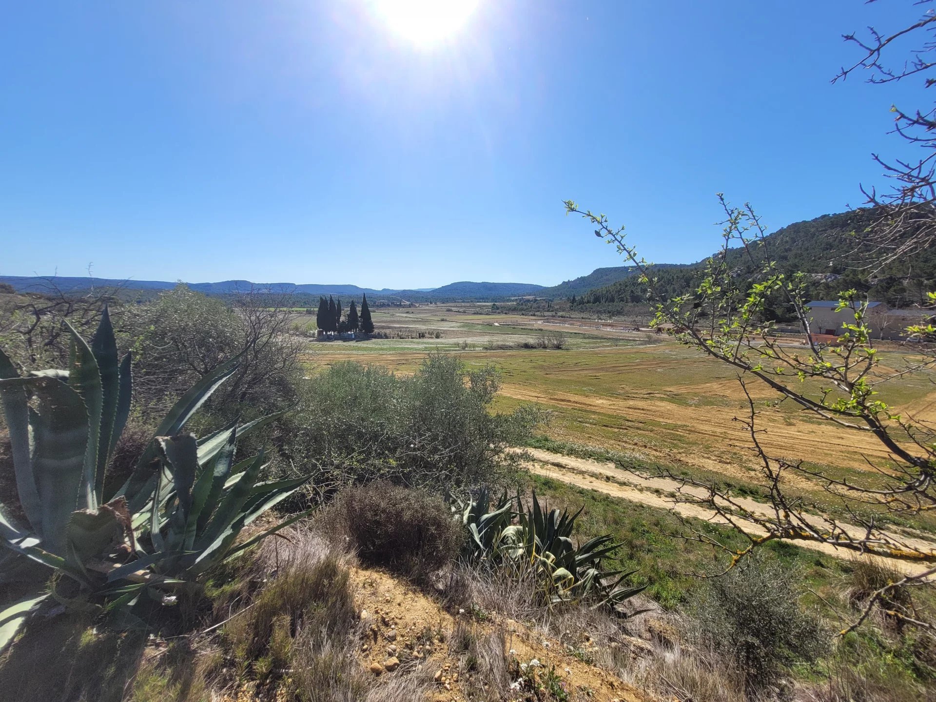 Purchase: Land (11100)