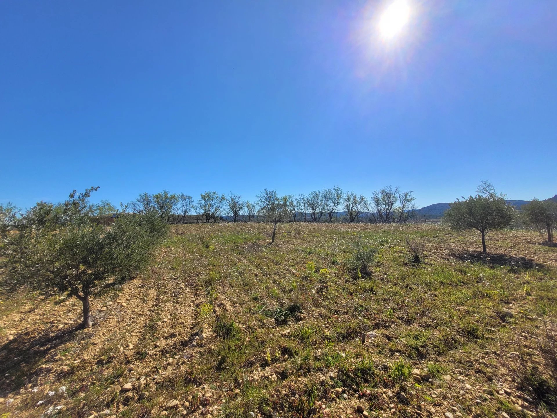 Terrain Narbonne 160 m² - Vue 3