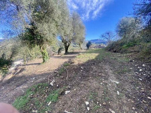 Terrain 1000 m² · à Drap · 179 000 €