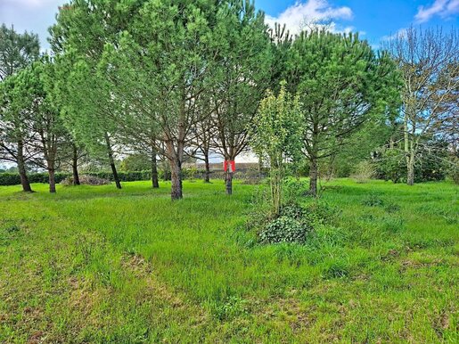 Terrain 1150 m² · à Ambarès-et-Lagrave · 181 000 €