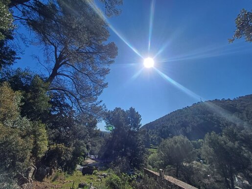 Terrain 4108 m² · à Solliès-Ville · 290 000 €