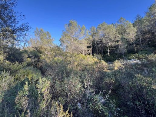 Terrain 1000 m² · à Roquefort-les-Pins · 22 000 €