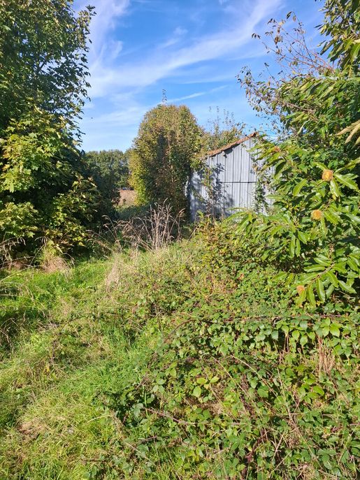 Terrain 3000 m² · à Gourin · 85 000 €