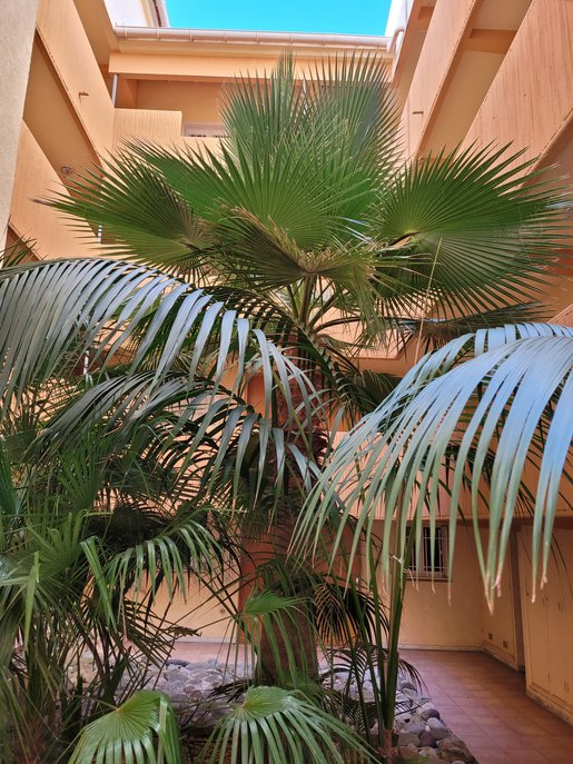 Appartement 2 pièces 57 m² · à Saint-Raphaël · 57 m² · 329 000 €