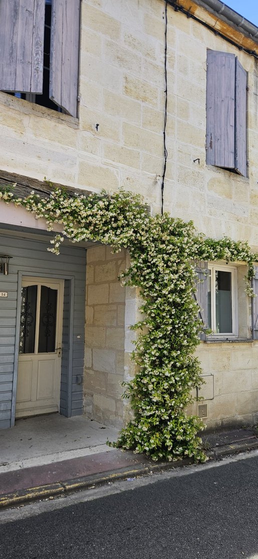 Maison 6 pièces 175 m² · à Créon · 175 m² · 370 000 €