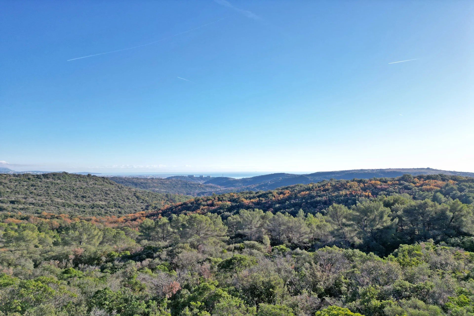 Maison à vendre, 572m², Roquefort-les-Pins
