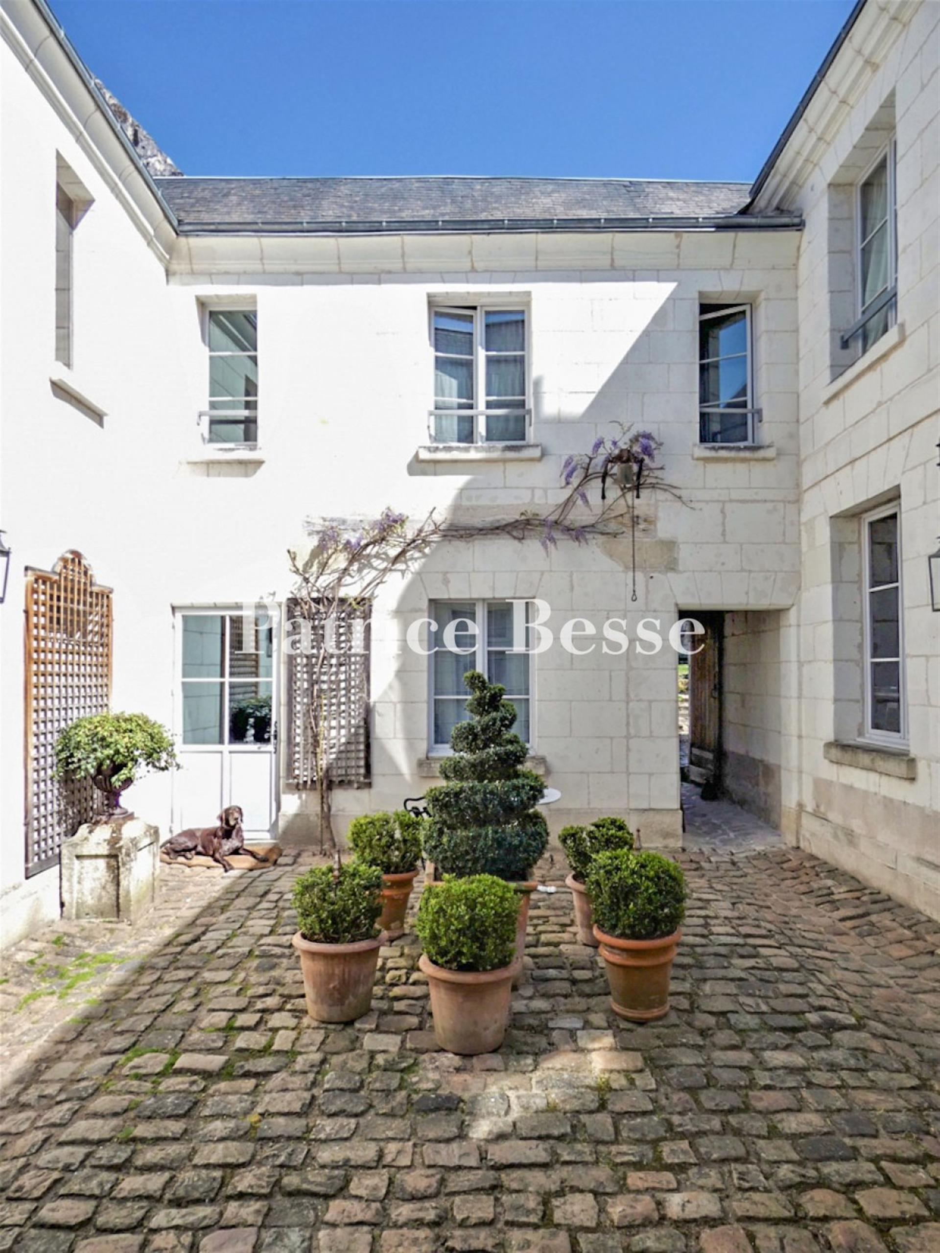 Maison à vendre, 360m², Loches