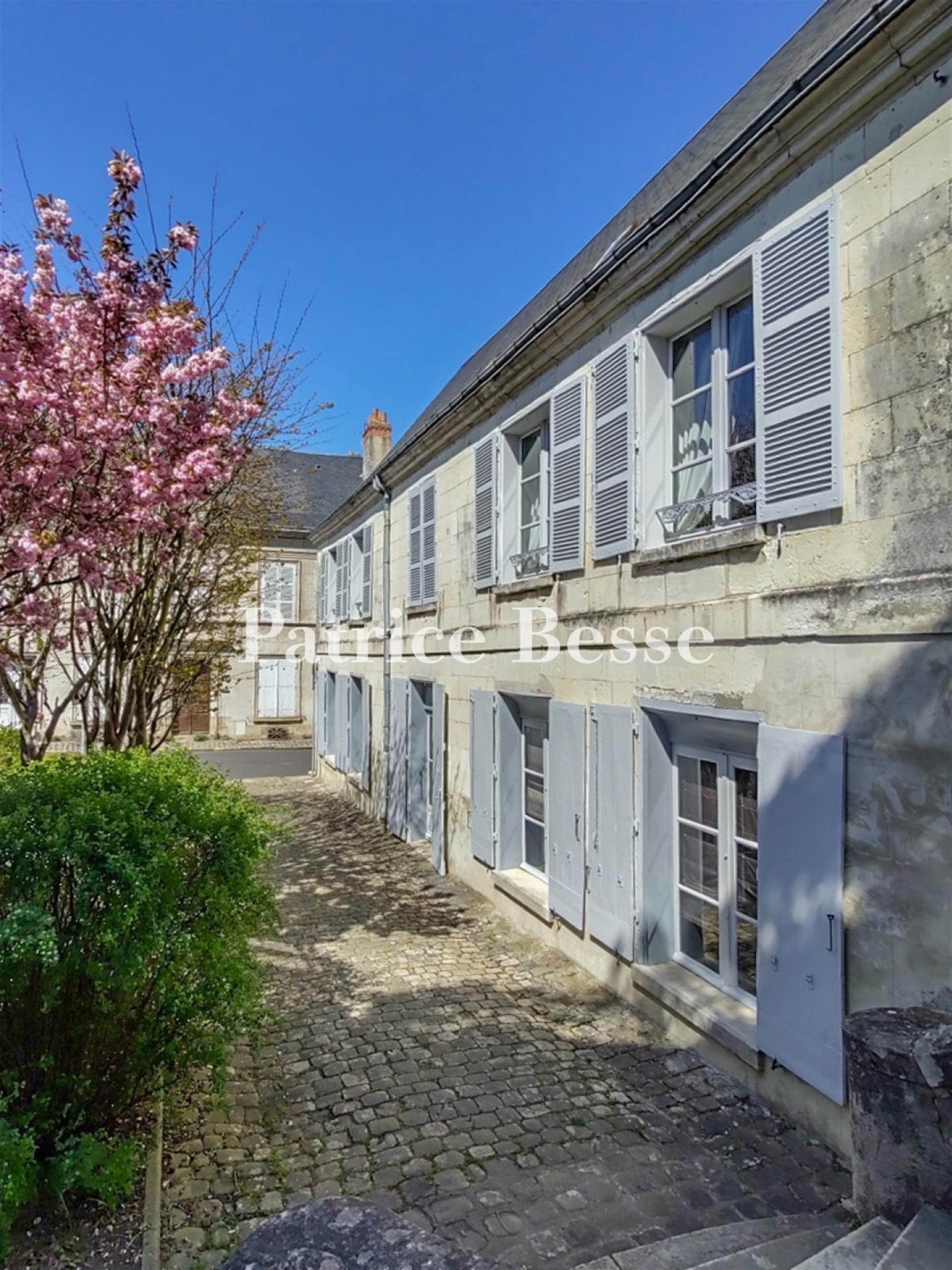 Maison à vendre, 360m², Loches
