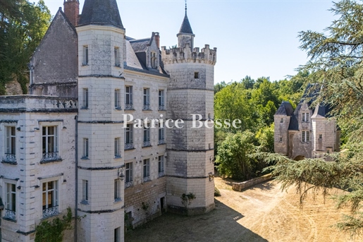 Maison 10 pièces 390 m² · à Montrichard Val de Cher · 390 m² · 980 000 €