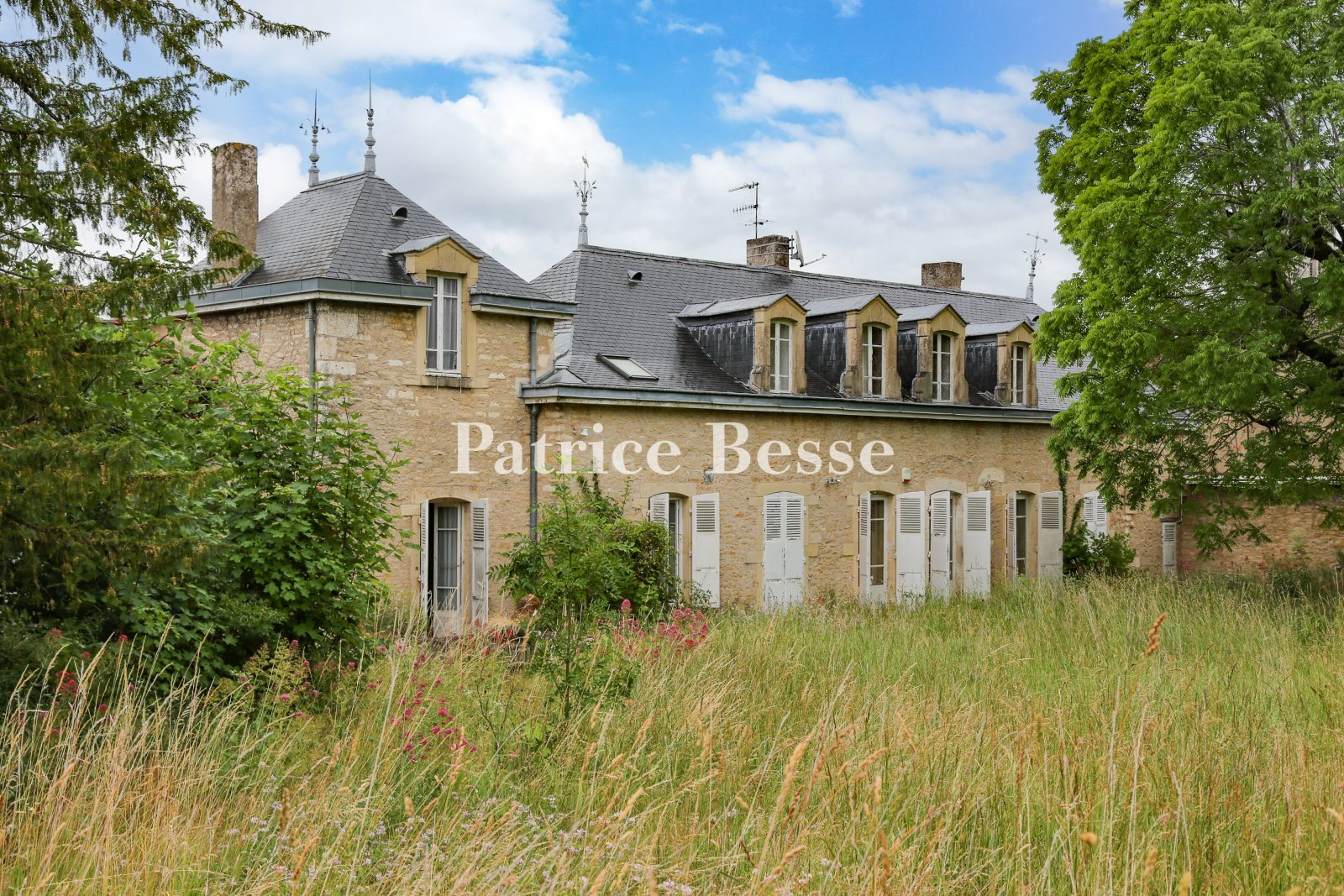 Maison à vendre, 460m², Chalon-sur-Saône
