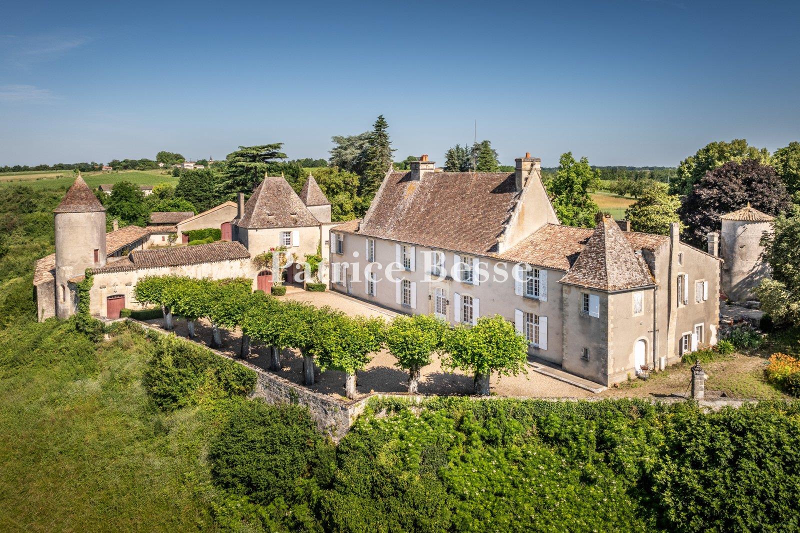 Maison à vendre, 800m², Castillon-la-Bataille
