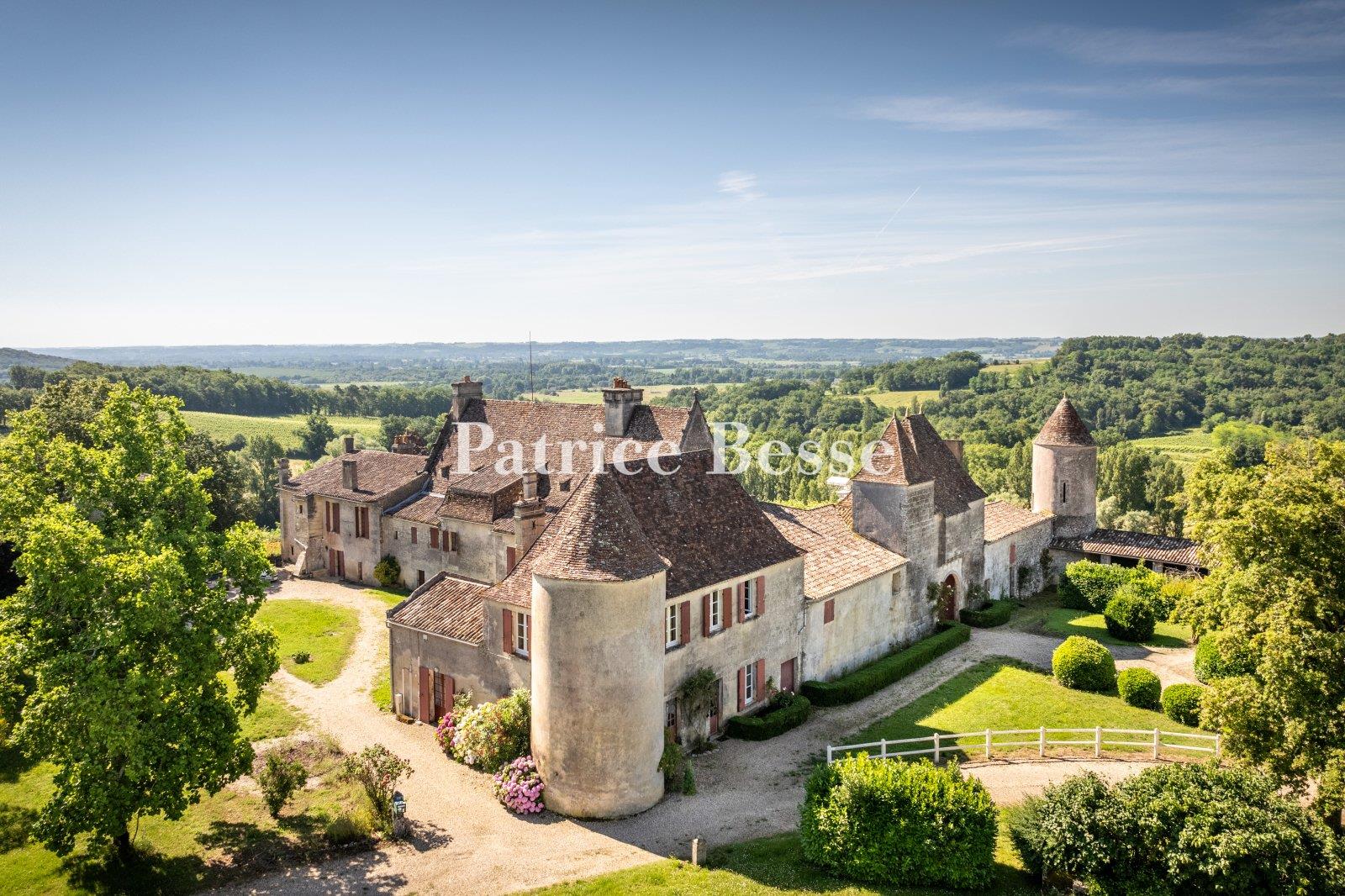 Maison à vendre, 800m², Castillon-la-Bataille
