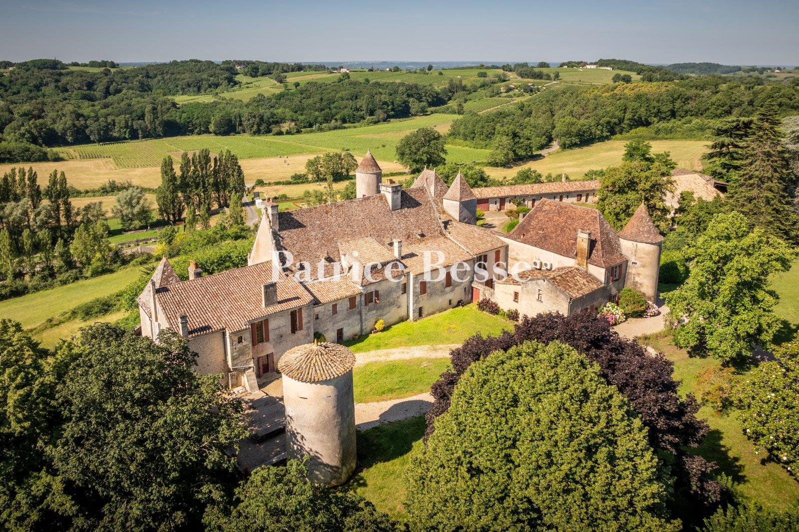 Maison à vendre, 800m², Castillon-la-Bataille
