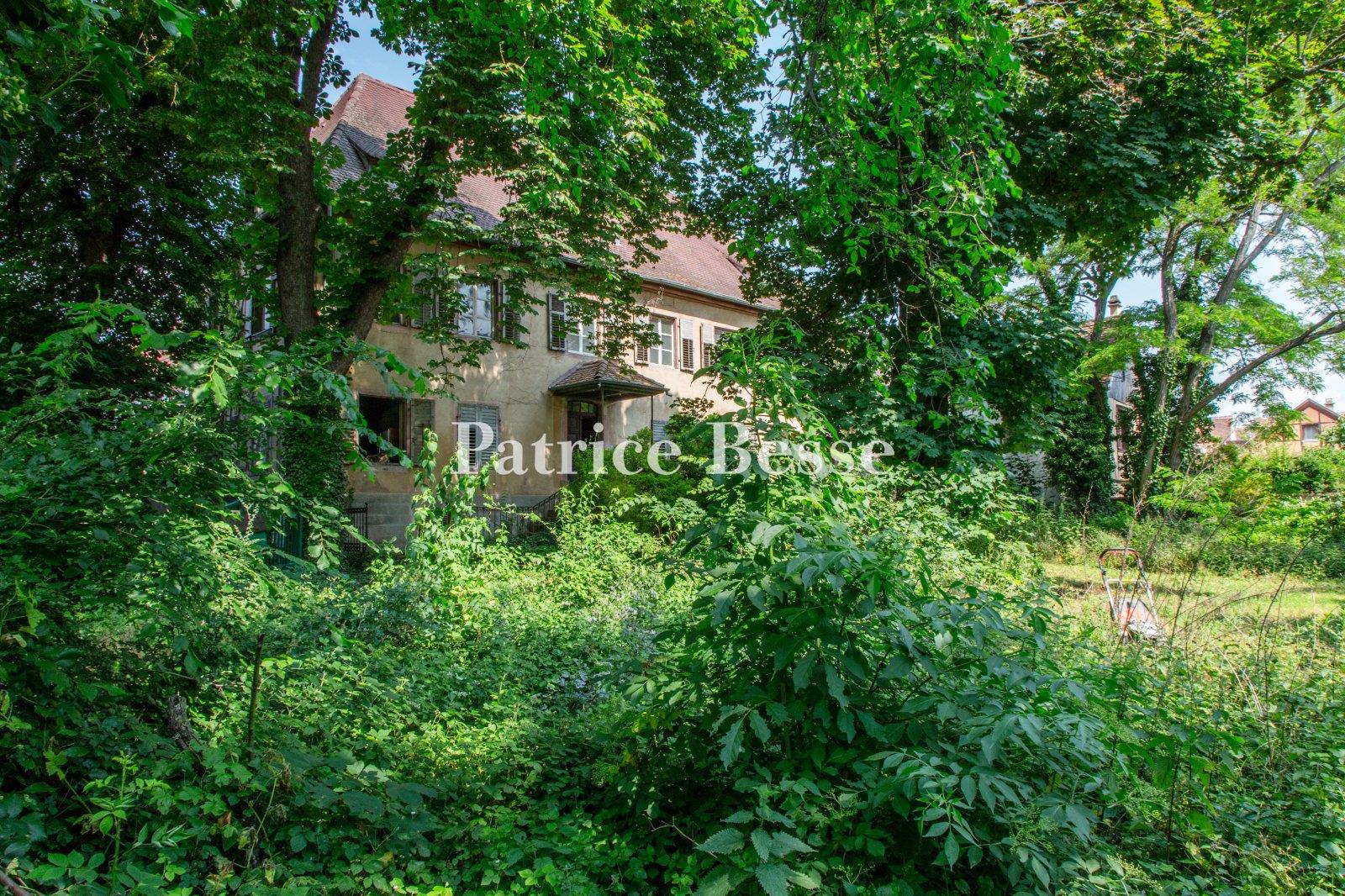 Maison à vendre, 340m², Bergheim