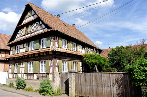 În Alsacia, în imediata apropiere de Strasbourg, o autentica casă alsaciană, dependența sa și