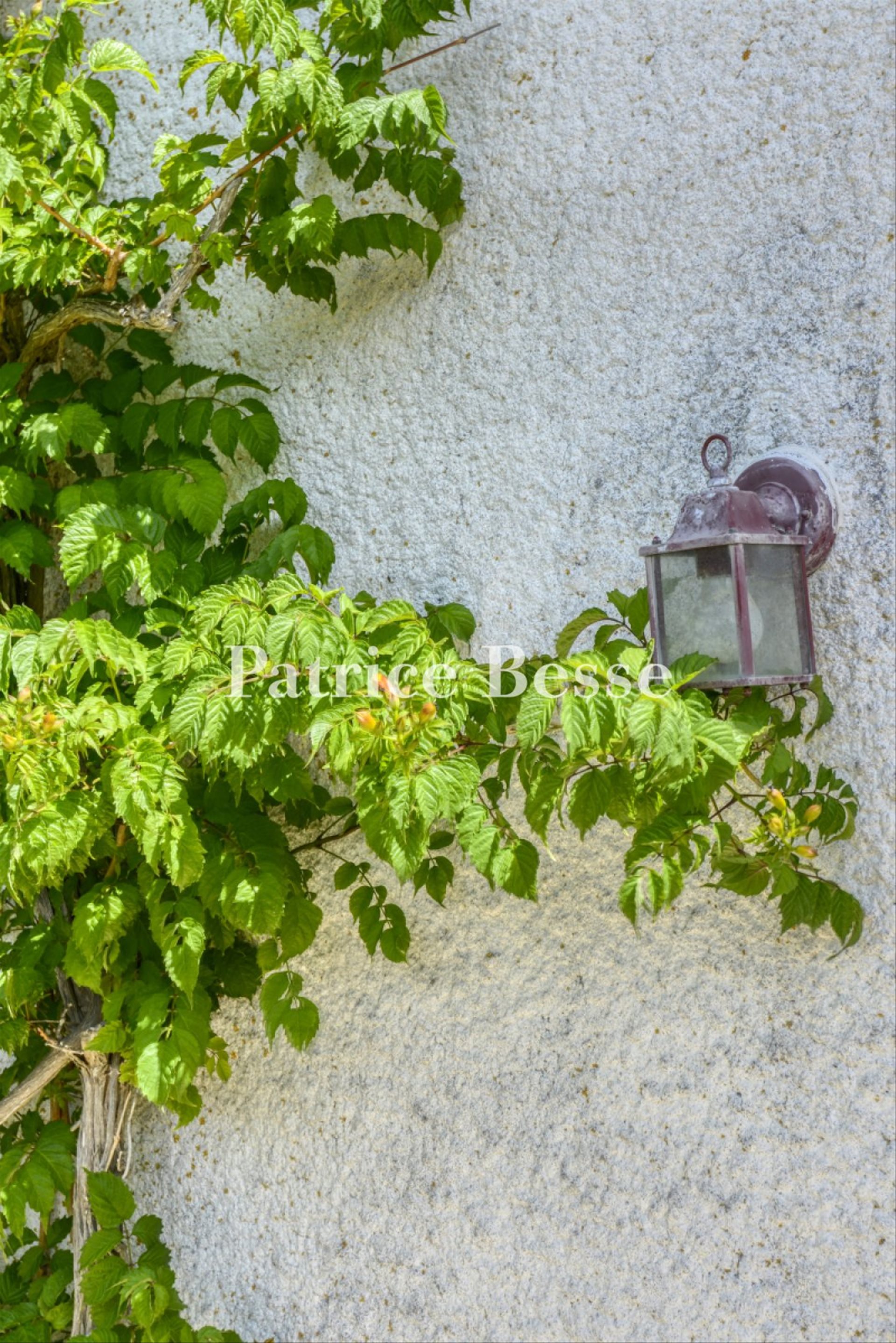 Maison à vendre, 135m², Saint-Georges-d'Oléron