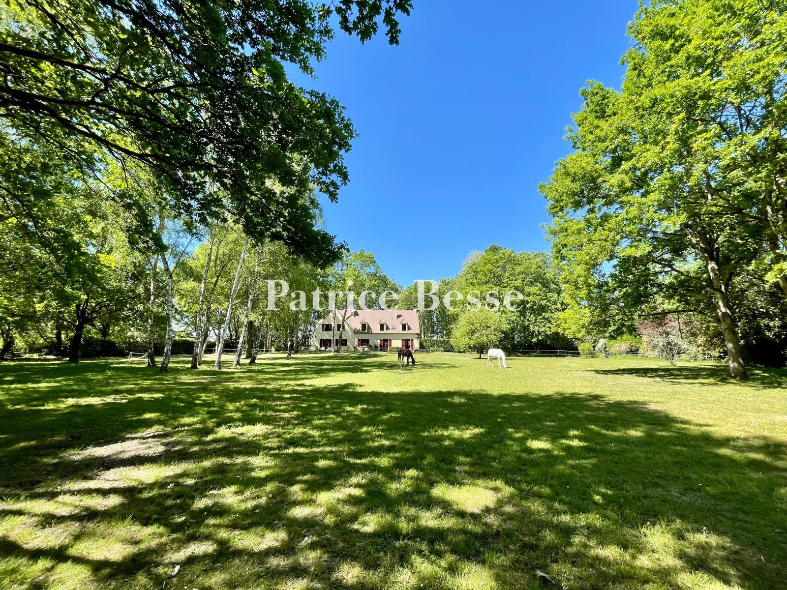 Maison à vendre, 290m², Barbizon