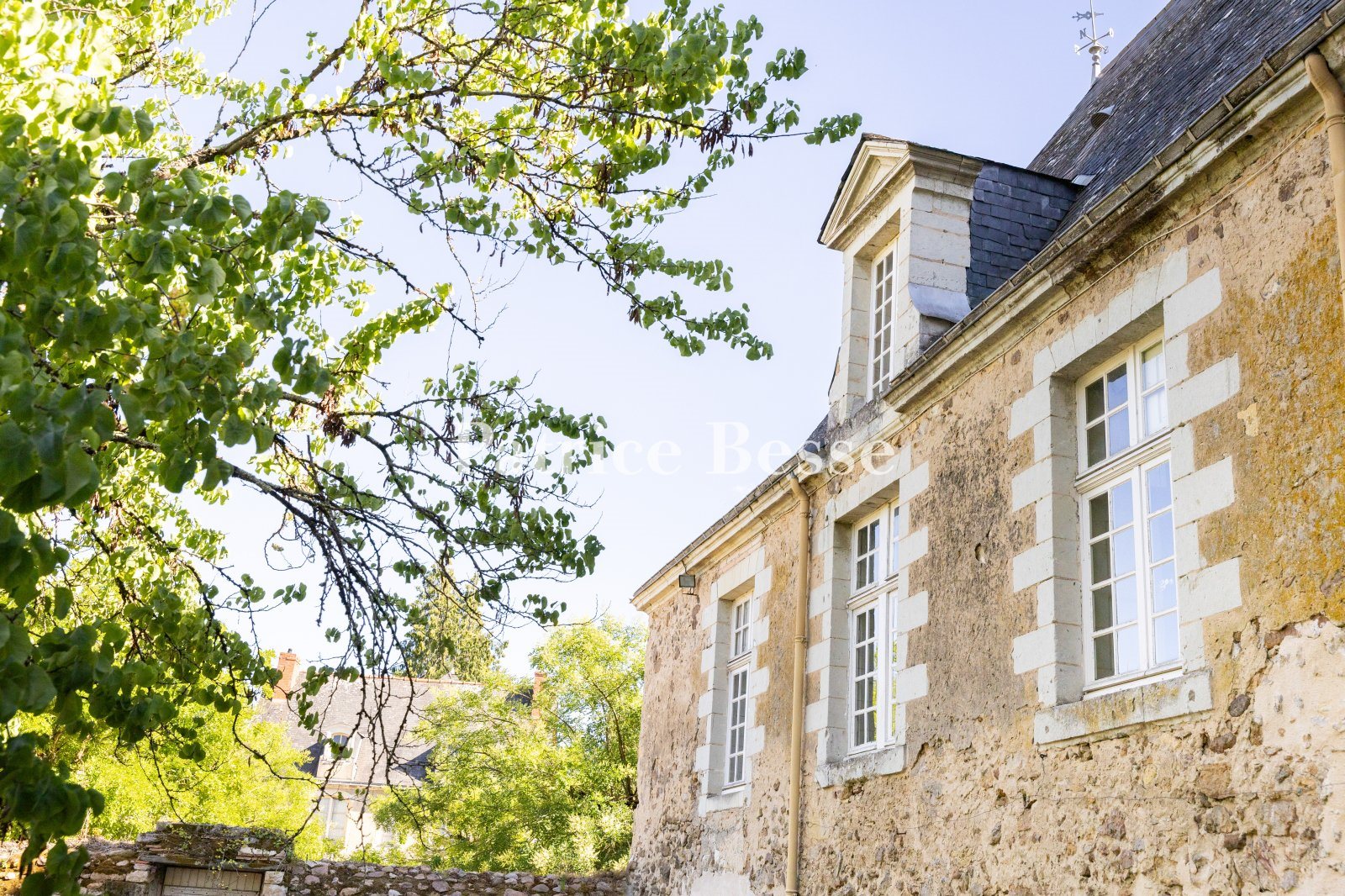 Maison à vendre, 370m², La Flèche