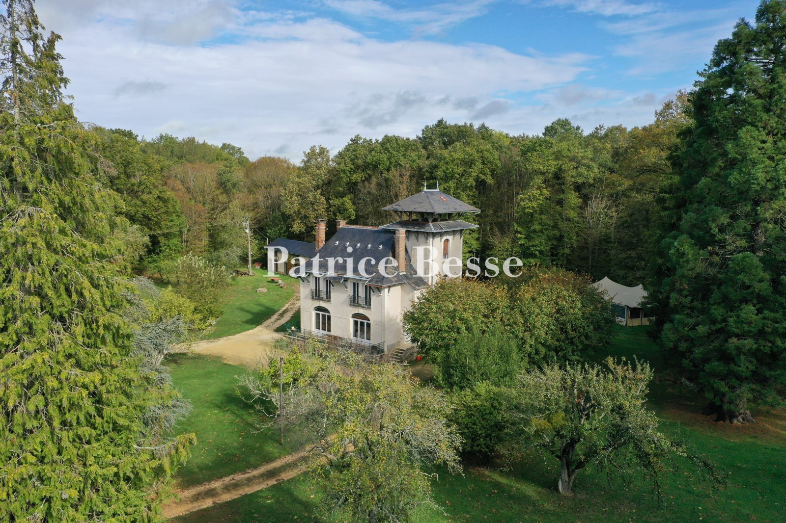 Maison à vendre, 313m², Saint-Sauveur-en-Puisaye