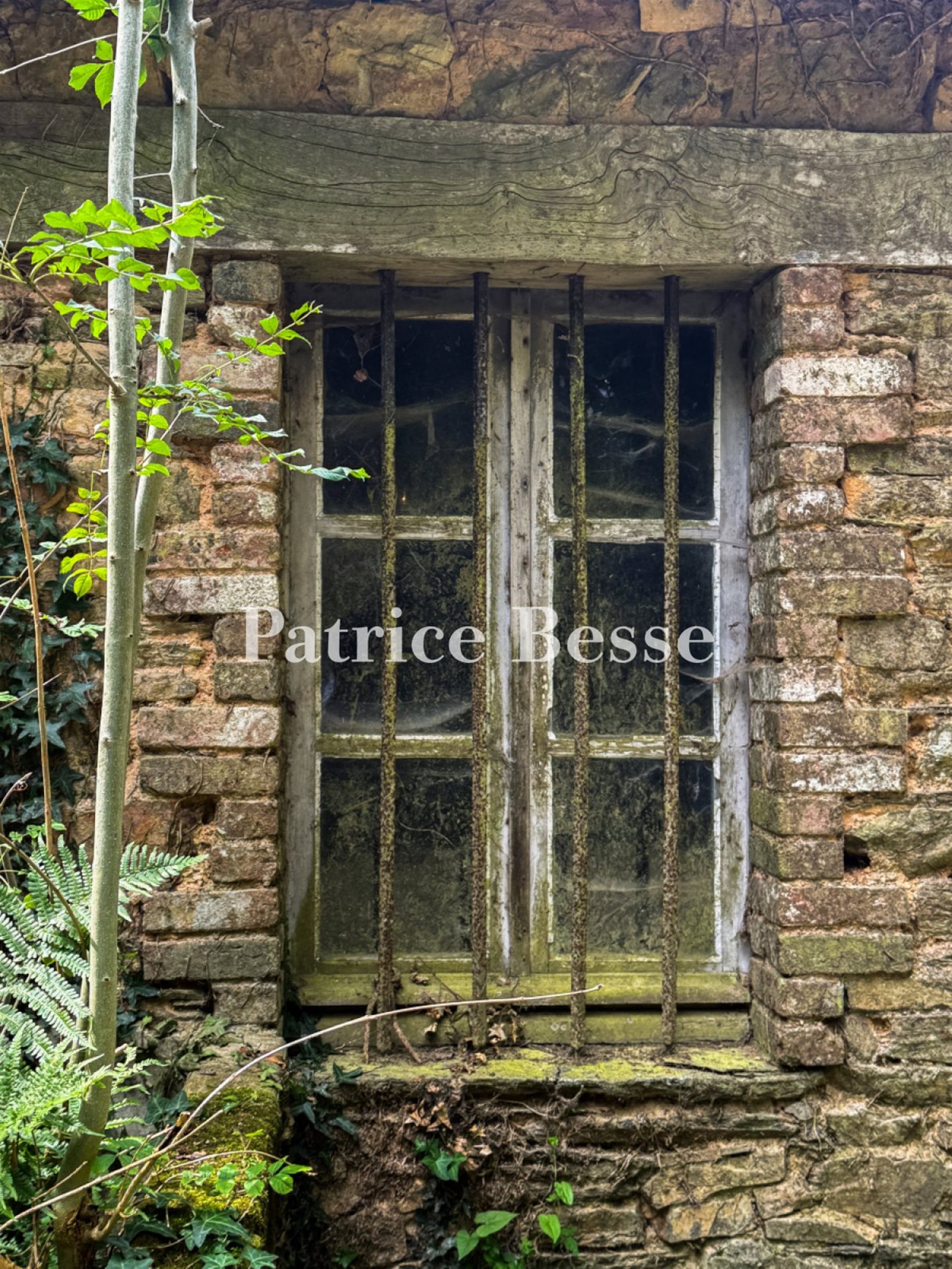 Maison à vendre, 307m², Ploërmel