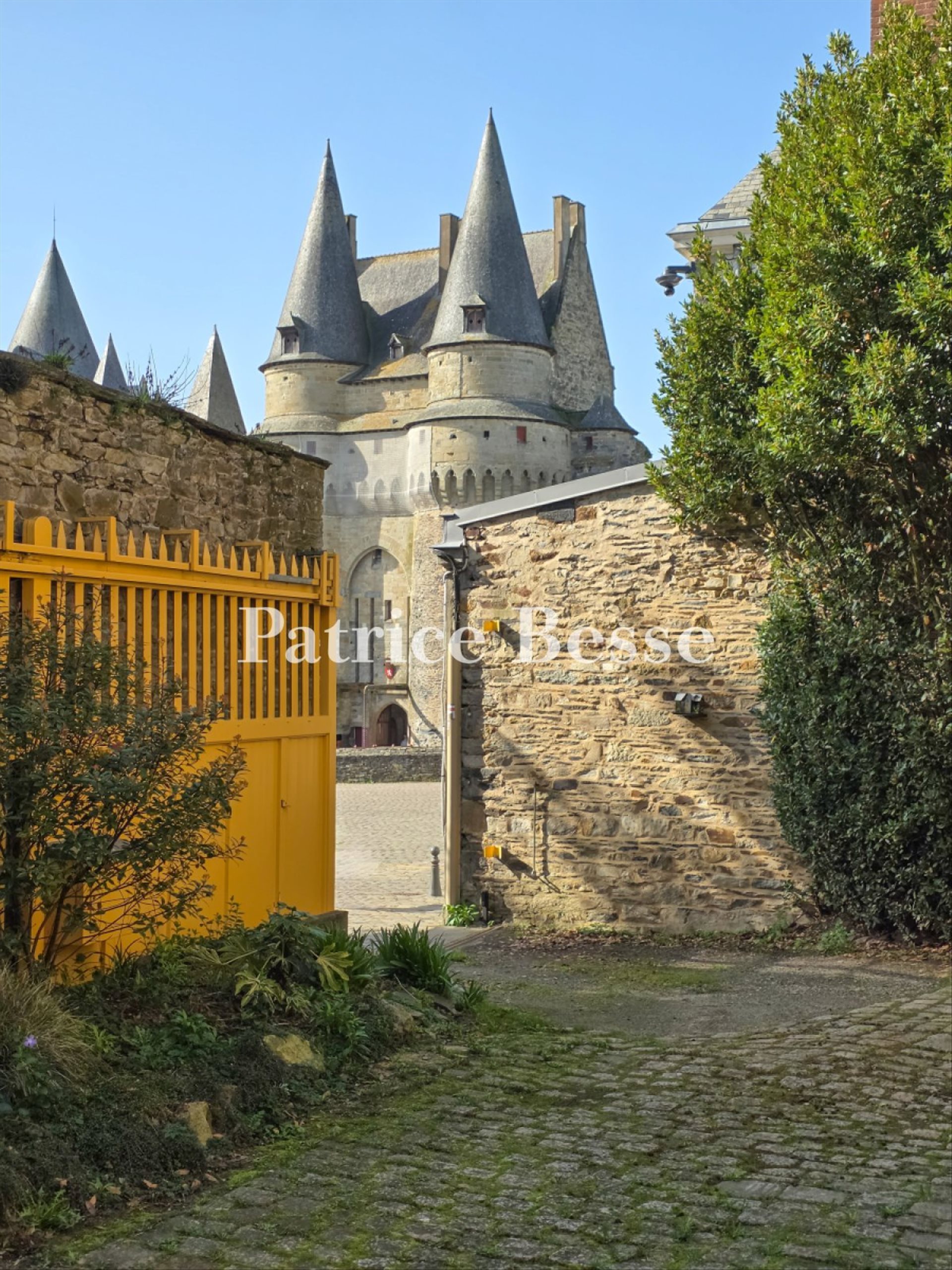 Maison à vendre, 326m², Vitré